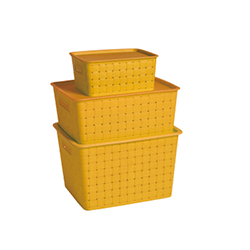 Strogae CateGory Moulds-DM-147